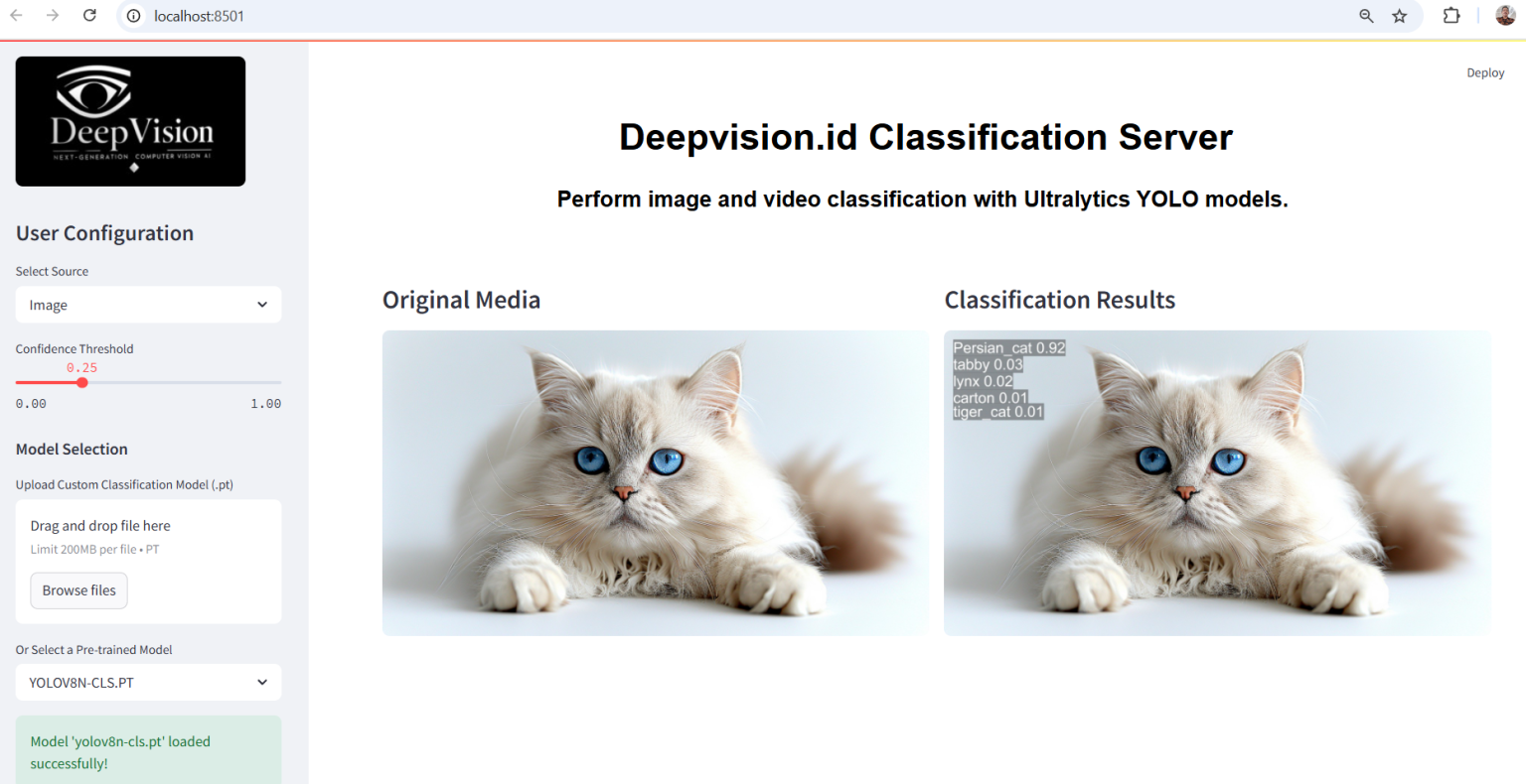 Image Classification – DEEPVISION